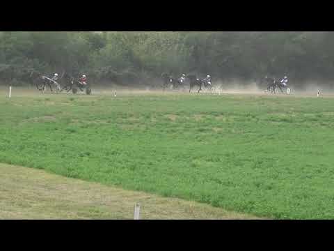 Trka "Popov Milan Džadža-pokrovitelj porodica Popov” 20.09.2020 Tagora - Miodrag Panti