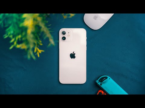 iPhone 12 1 Month Later: A Full-Time User Review!