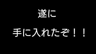 ついに手に入れたぞ