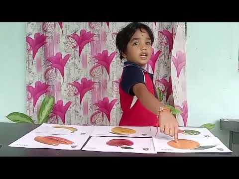 Lasya | Fruits Identification | Rise Learning World Opp New Port Railway Station, Kakinada.