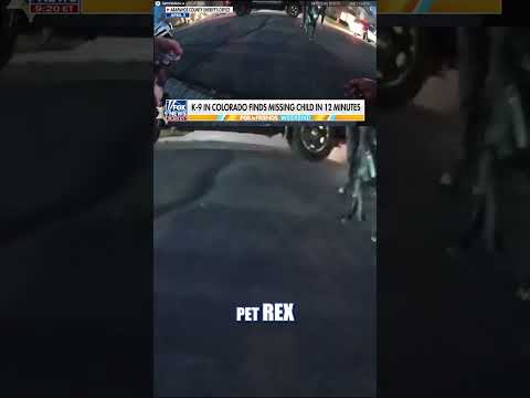 WATCH: Sheriff’s dog tracks down missing child in Colorado #foxnews #news #shorts #police