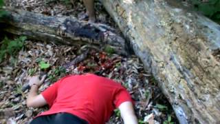 Limestone Burning - Behind the Scenes #1