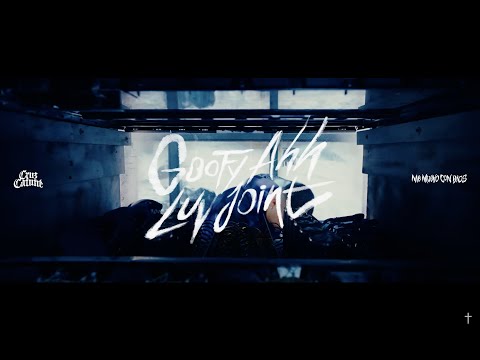 CRUZ CAFUNÉ - goofy ahh luv joint (Visualizer)