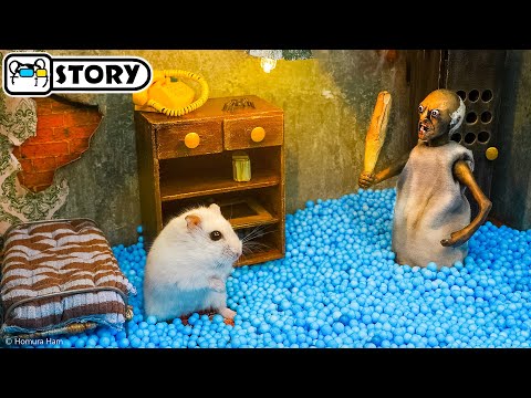Hamster vs Granny in the Scary House for Halloween 🐹 Homura Ham Pets