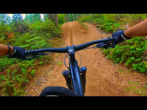 Learning Curve Trail and Overtime - 360 Trails