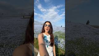 Download lagu Japan in mid-April! Nemophila blooms at Hitachi Seaside Park mp3