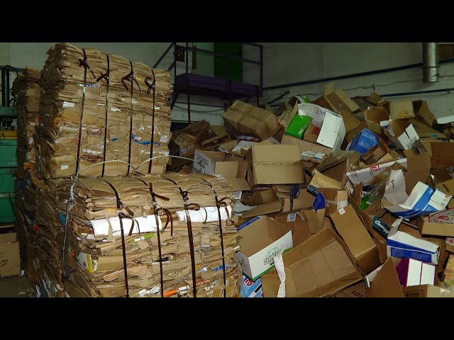 «Сдай макулатуру - Спаси дерево!»