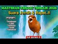 Masteran Kenari Full Isian Super Mewah Full Durasi