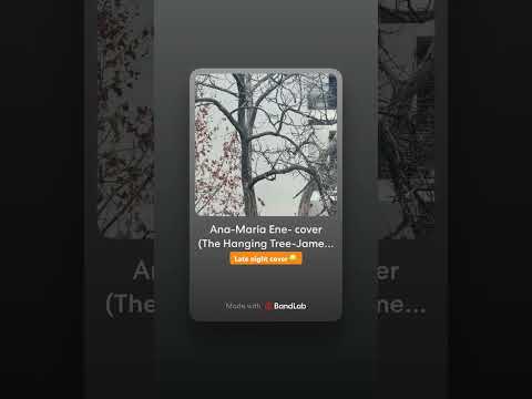 The Hanging Tree | late night cover