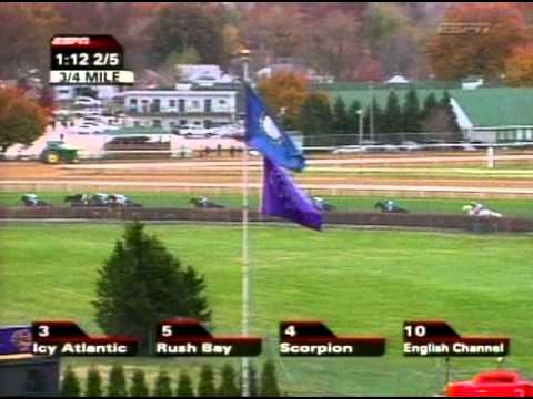 2006 Breeders' Cup Turf