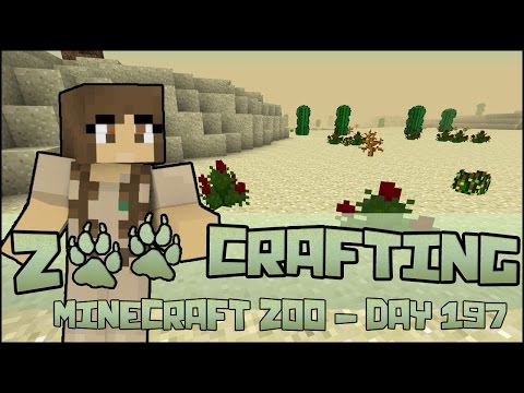 Sand In Our Pockets!! 🐘 Zoo Crafting: Season 2 - Episode #197