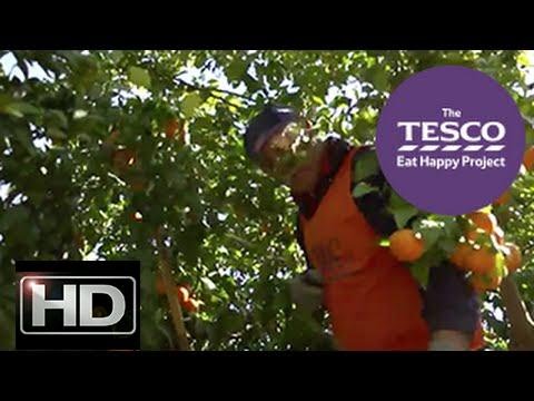 Juicy Clementines with farmer Bernado from Alberic, Spain (Trailer)@