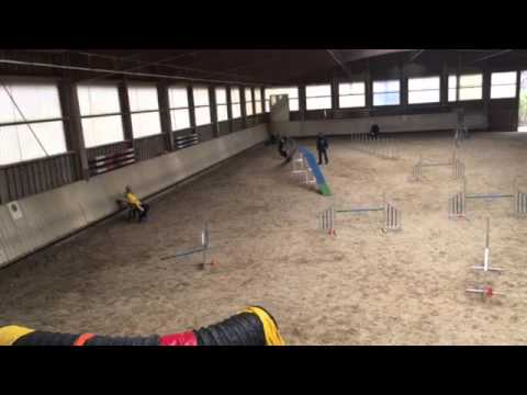 Neo A1 Bad Urach 2016