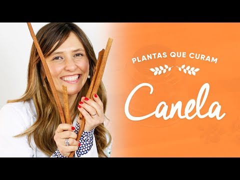 Imagem ilustrativa do vídeo: Benefícios da CANELA
