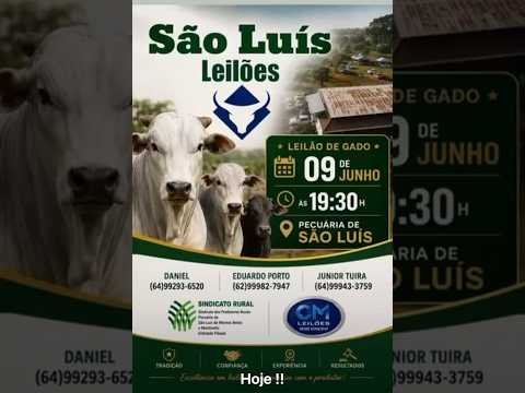 São Luis de Montes Belos - GO   09/06/2026