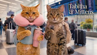 Download lagu Episode 1: Tabitha & Mittens’ Trip to the UK 🇬🇧 mp3