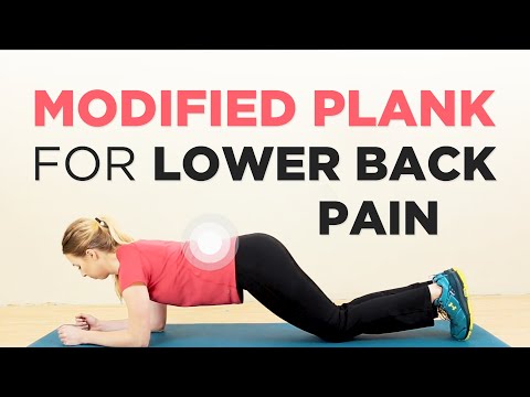 Modified Plank for Beginners | Core & Lower Back Pain Exercises