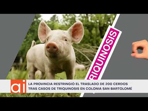 Hubo casos de triquinosis en Colonia San Bartolomé