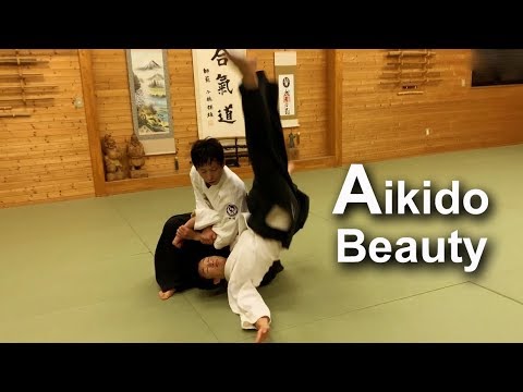 Beauty of Aikido - Shirakawa Ryuji shihan