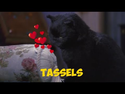 Salem Saberhagen Loves Tassels