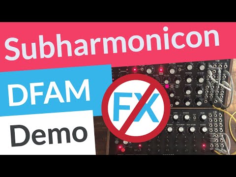 Moog Subharmonicon + DFAM Demo (No Talking, No Effects)