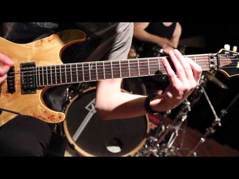 Sylosis - Teras (cover)