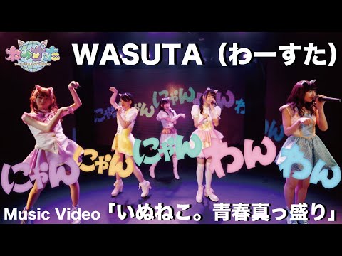 わーすた（WASUTA）「いぬねこ。青春真っ盛り」（Inu Neko Seishun Massakari）Music Video