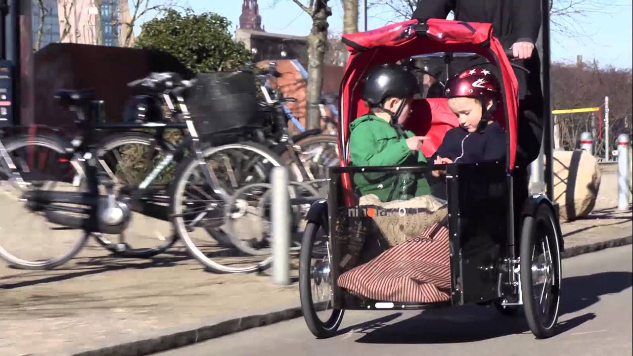 Electric tricycle - 2 kids