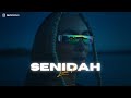 SENIDAH - LEVEL (INSTRUMENTAL) Prod. By g4