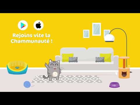 La Minute du Chat - comportement, santé, bien-être Video
