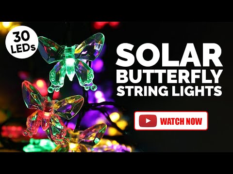 Solar Decorative String or Serial Rice Light