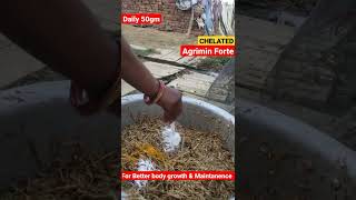 Download lagu Mineral mixture daily 50 gm mp3 Download lagu Mineral mixture daily 50 gm mp3