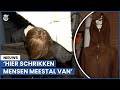 'Doodeng' Halloweenhuis: 'Sommige kinderen durven geen foldertjes te bezorgen!'