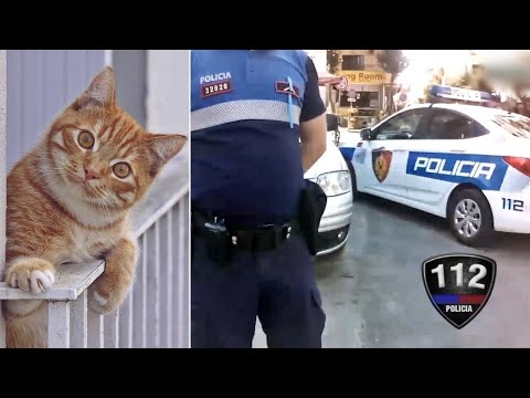 Emisioni 112, ep 33 - Macja bie nga ballkoni i katit 7 e ngec në të 5-tin, zonja telefonon policinë