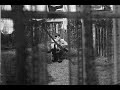 Too Much Rain - Paul McCartney (legendado)