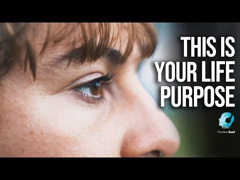 This Is Your Purpose (Explained In Under 5 Minutes)