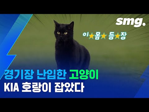 아이콘