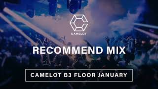 January CAMELOT RECOMMEND MIX B3 FLOOR