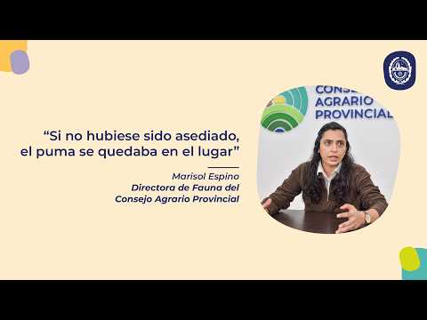 Portada video