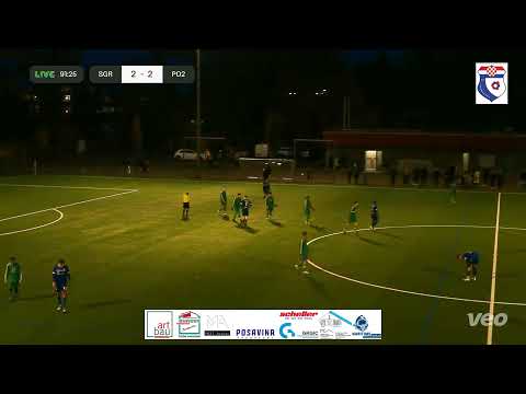 SG Roederwald vs FC Posavina Frankfurt e.V.