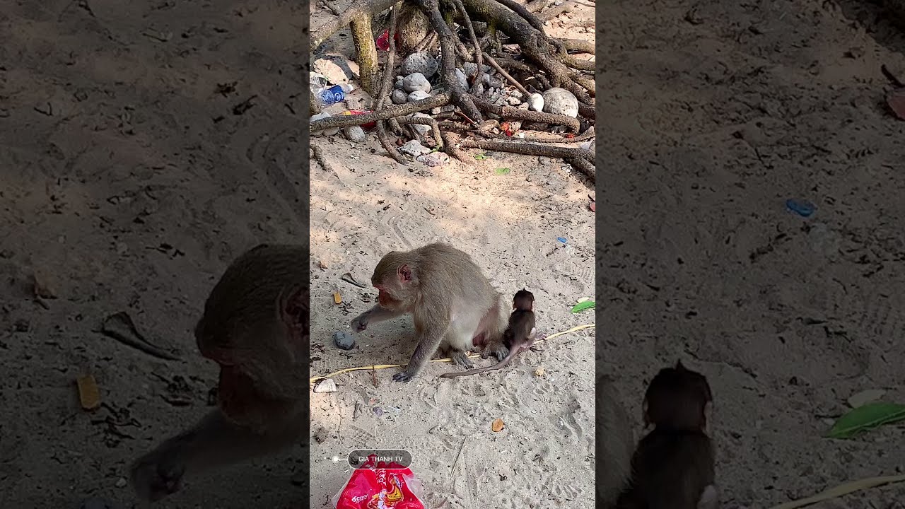 YouTube Short thumbnail