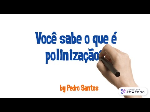 Aprenda o que é POLINIZAÇÃO em MENOS de 1 MINUTO | Apislogia