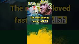 Download lagu King David was Beloved! #new2islam #new_shahada #newmuslimclasses #KingDavid_islam #Muslimprophets mp3 Download lagu King David was Beloved! #new2islam #new_shahada #newmuslimclasses #KingDavid_islam #Muslimprophets mp3