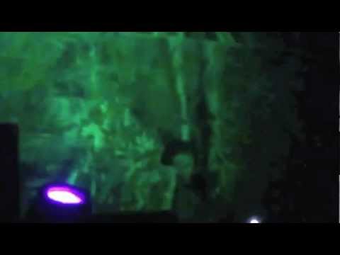 Albertino Live @ Happy Area - Majano - UD