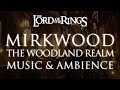 Lord of the Rings Music & Ambience | Mirkwood - The Woodland Realm