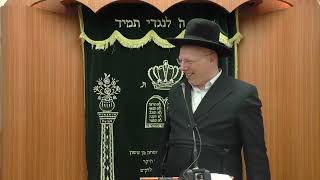 הרב ליאור גלזר  במדבר  תשפ"ב 🔥🔥🔥