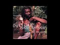 Culture - One Stone (1996)