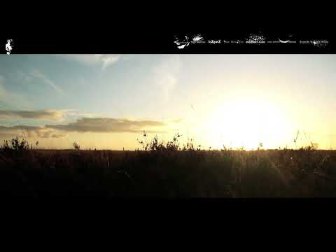 Nick Nightwalker - Somebody Like You (High Reshive) Progressive Trance