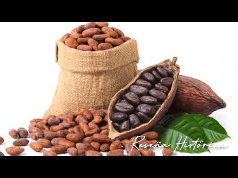 Reseña histórica del Municipio Caracciolo Parra Olmedo de Tucani estado Mérida Venezuela