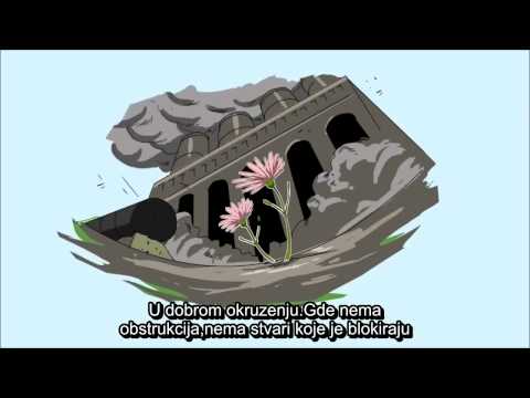 Nouman Ali Khan - Sura Felek